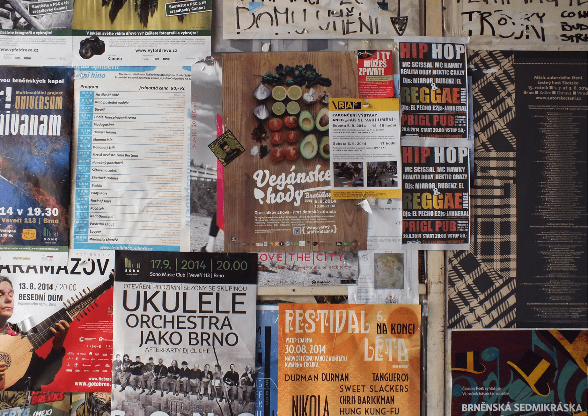 Green White Blue Certificate of Completion 5